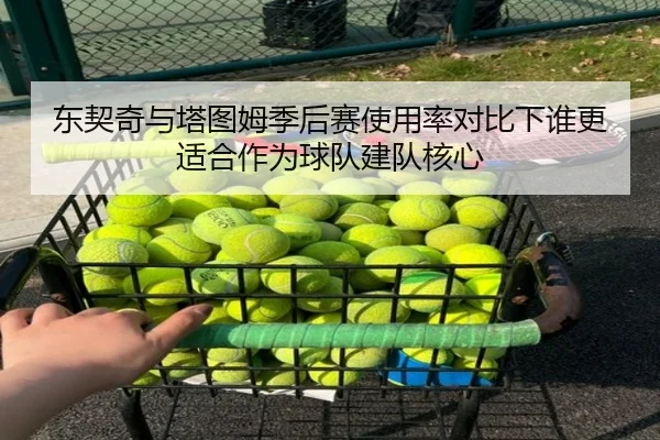 东契奇与塔图姆季后赛使用率对比下谁更适合作为球队建队核心